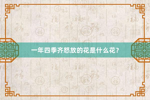 一年四季齐怒放的花是什么花？