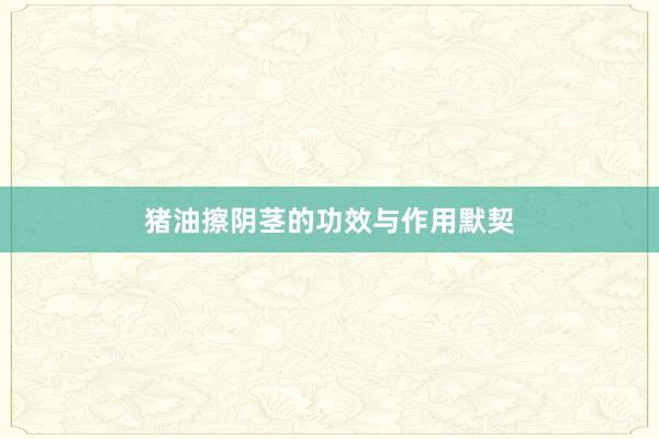 猪油擦阴茎的功效与作用默契