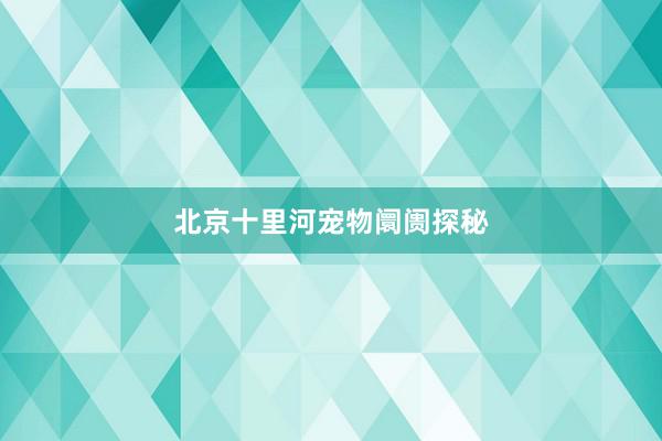 北京十里河宠物阛阓探秘